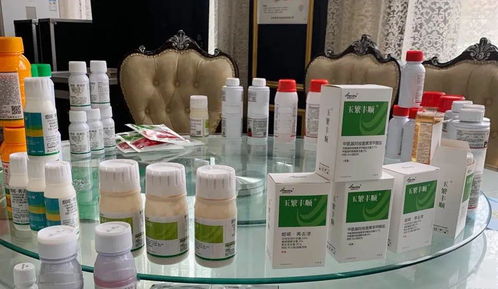 專業方案,更優選擇 河南瀚斯夏季除草劑產品技術培訓會山東曹縣專場圓滿召開