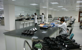 東莞豐信Sedex輔導與房產咨詢 權威專業，助力企業合規與資產增值